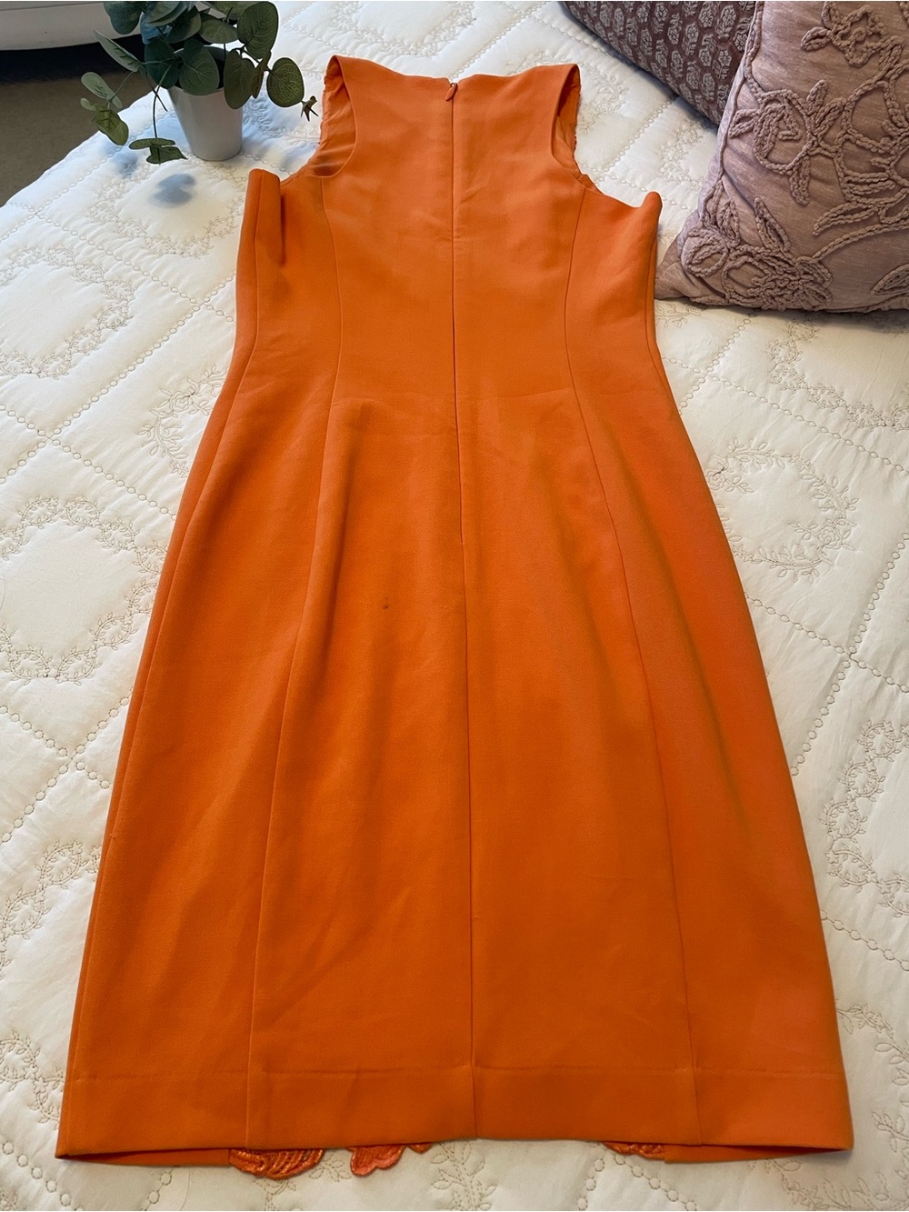 Eva Mendes for New York & Company Orange Lace-Panel Sheath Dress - Picture 2 of 5